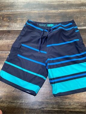 Vans Men’s Navy & Teal Striped Board Shorts